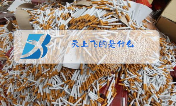 天上飞的是什么 原唱是哪个唱的图片